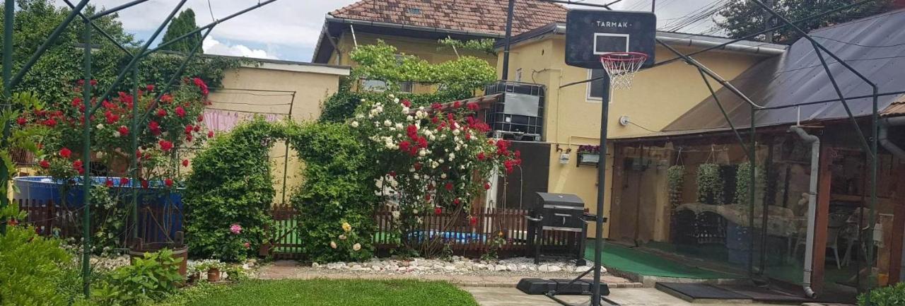 Rózsa apartman Székelyudvarhely Kültér fotó